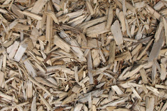 biomass boilers Sourton